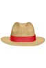 Traveller Hat