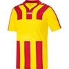 Trikot Santos KA