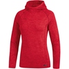 Kapuzensweat Active Basics