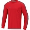 TW-Trikot Striker 2.0