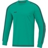 TW-Trikot Striker 2.0