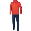 Trainingsanzug Polyester Striker 2.0 mit Kapuze
