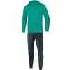 Trainingsanzug Polyester Striker 2.0 mit Kapuze